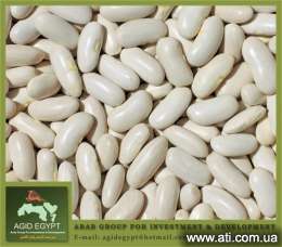 ��������� ���� White kidney beans A.G.I.D.