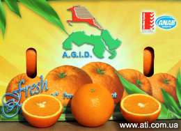 ��������� ���� ������ AGID