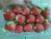 Egyptian strawberry
