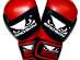 Боксерские перчатки Bad Boy 3G PU Gloves