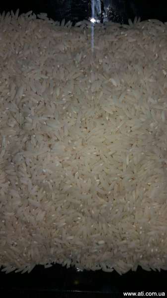 rice pedarbozorg