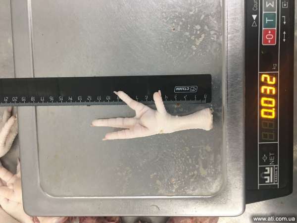 Chicken feet grade a
