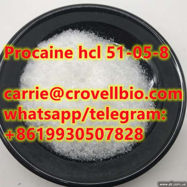 procaine hcl,51-05-8