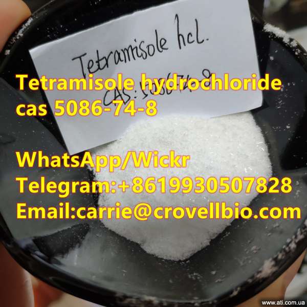 Tetramisole hcl 5086-74-8