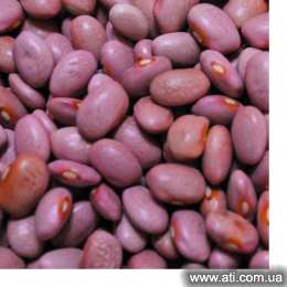   Pink beans