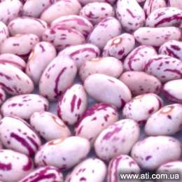   Pinto Or Mottled Beans
