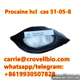  procaine hcl,51-05-8