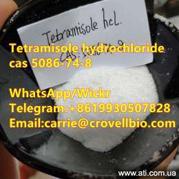   Tetramisole hcl 5086-74-8
