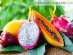 Viet-Ecopharm Intertrade предлагает экспорт фруктов