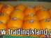 Egyptian Yellow Golden Onions ������ ������� ����������� ���