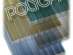  , Polygal GOLD