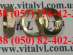 ����� (����������) 3/8'' ��������, VitaL VL�