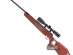  Ruger Air Hawk Elite