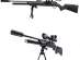   Walther 1250 Dominator FT