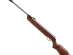   Gamo Hunter 1250