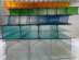   Polygal (  ) -  