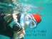 DicaPac, �������, ��������� ����