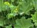 �������� ������������