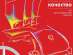  Optima-     