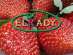 �������� �� ������ (Strawberry from Egypt)