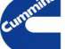  Cummins ()