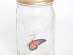  "  " Butterfly in Jar