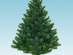 ������ ���� �������������