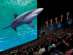 ��������� �� ����� � ����� � imax "������"