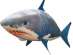 " Air Swimmers Shark " ������� ����� ������ .