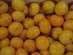  9,90/ Satsuma