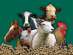 �������