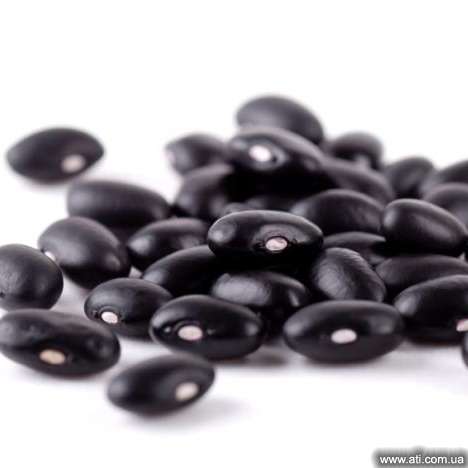 Black Beans