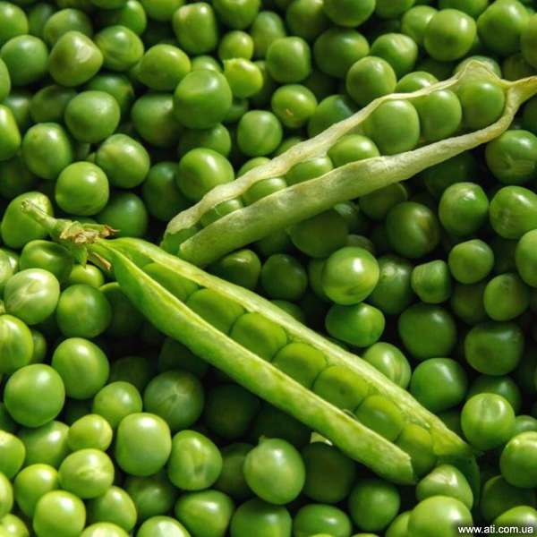 pea