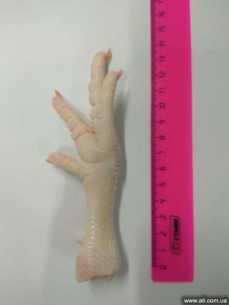 Chicken feet grade a