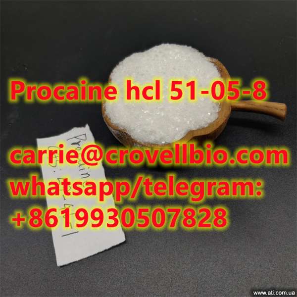 procaine hcl