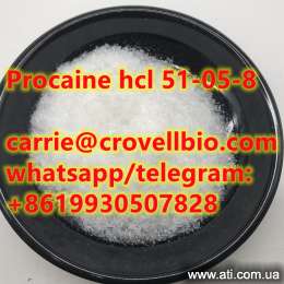   procaine hcl,51-05-8